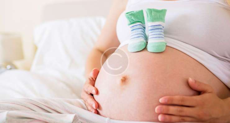 Consultation & Ultrasound